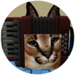 You Found Accordion Floppa!