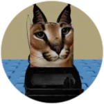 You Found Airboat Floppa!