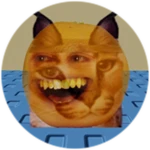 You Found Annoying Orange Floppa!