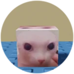 You Found Bingus!
