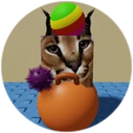 You Found Bouncy Ball Floppa!