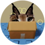 You Found Box Floppa!