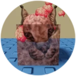 You Found Brain Floppa!