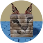 You Found Brick Floppa!