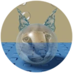 You Found Bubble Floppa!