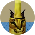 You Found Candle Floppa!