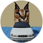 You Found Car Floppa!