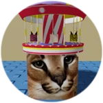 You Found Carousel Floppa!