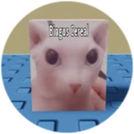You Found Cereal Bingus!