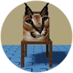 You Found Chair Floppa!
