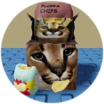 You Found Chips Floppa!