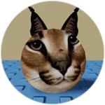 You Found Circle Floppa!