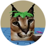 You Found Coconut Floppa!