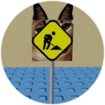 You Found Construction Sign Floppa!