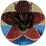 You Found Demogorgon Floppa!