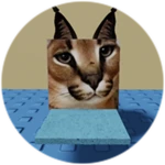 You Found Diving Board Floppa!