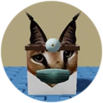 You Found Doctor Floppa!