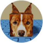 You Found Dog Floppa!