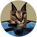 You Found Drone Floppa!