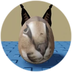 You Found Egg Floppa!