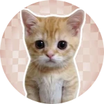 You Found El Gato