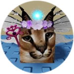 You Found Fairy Floppa!