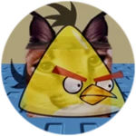 You Found Fast Bird Floppa!