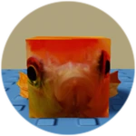 You Found Fish Cube!