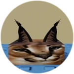 You Found Flat Floppa!