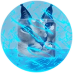 You Found Forcefield Floppa!