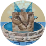 You Found Fountain Floppa!