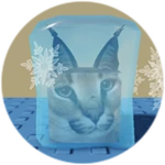 You Found Frozen Floppa!