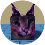 You Found Galaxy Floppa!