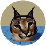 You Found Gamer Floppa!