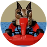 You Found Go Cart Floppa!