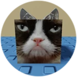 You Found Grumpy Cat Cube!
