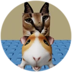 You Found Guinea Pig Floppa!