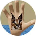 You Found Hand Floppa!