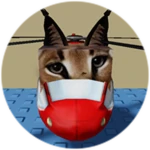 You Found Helicopter Floppa!