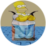 You Found Homer Floppa!