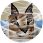 You Found Hurricane Floppa!