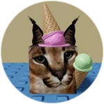 You Found Ice Cream Floppa!