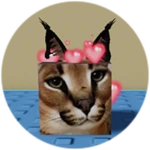 You Found In Love Floppa!