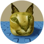 You Found Inflated Floppa!