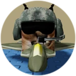 You Found Jet Floppa!