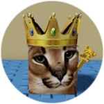 You Found King Floppa!