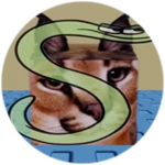 You Found Letter S Floppa!