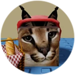 You Found Little Red Floppa!