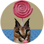 You Found Lollipop Floppa!
