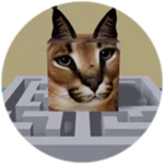 You Found Maze Floppa!
